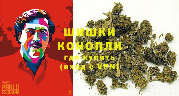 тгк Мегион