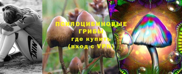 Альфа ПВП Медногорск