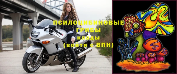 тгк Мегион