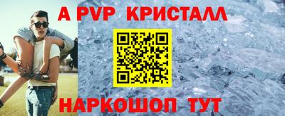 гидра Будённовск