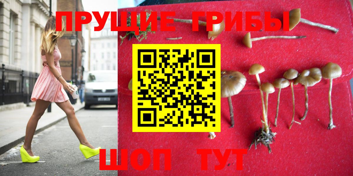 Галлюциногенные грибы мицелий  Псилоцибиновые грибы мухоморы  Вход с VPN  Салават 