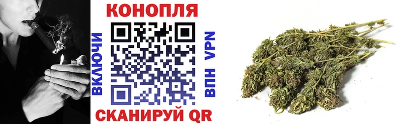 где можно купить наркотик  Салават  Бошки Шишки SATIVA & INDICA 